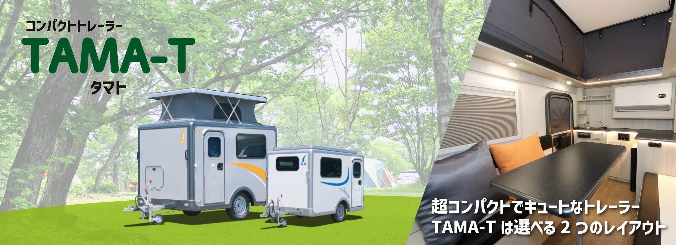 TAMA-T