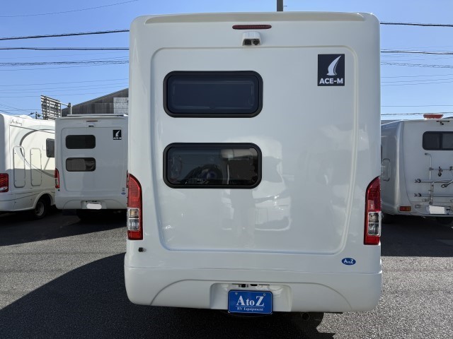 ACE-M 3137
